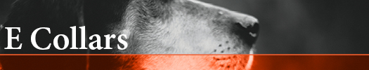 E Collars