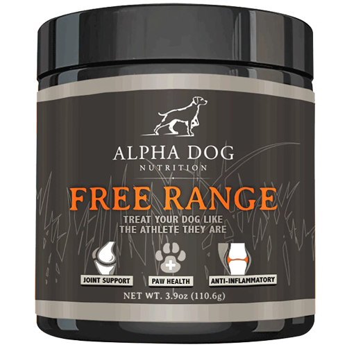 Nutrition / Supplements