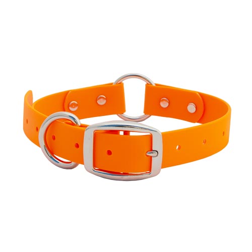 Hunting Dog Leashes, Dog Collars and Leads