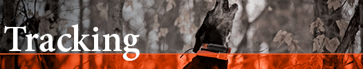 Tracking