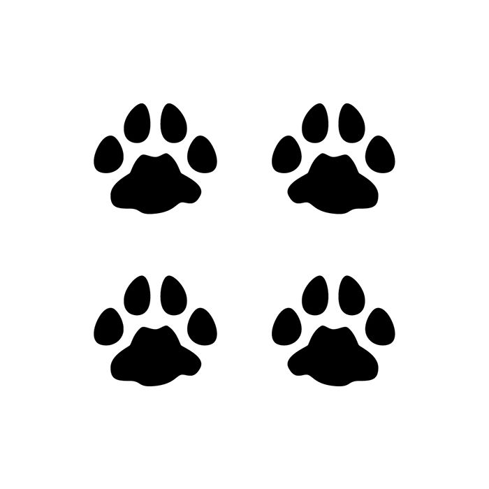 Cougar Tracks Decal