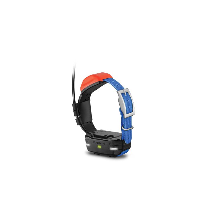 T5 Mini Collar with Lights