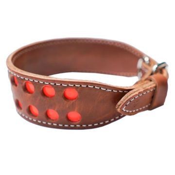 23 inch Tapered Reflecto Leather Collar