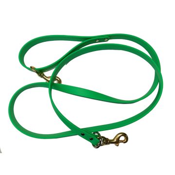 Beta Tree Lead without Chain