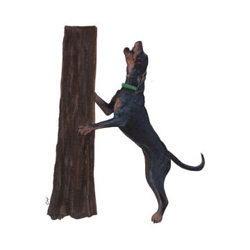 Black and Tan Treeing Dog Premium Decal by Chelsea Hansler