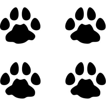 Bobcat Tracks Decal