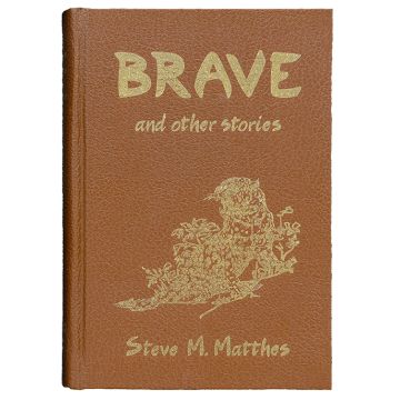 Brave and Other Stories by Steve M. Matthes