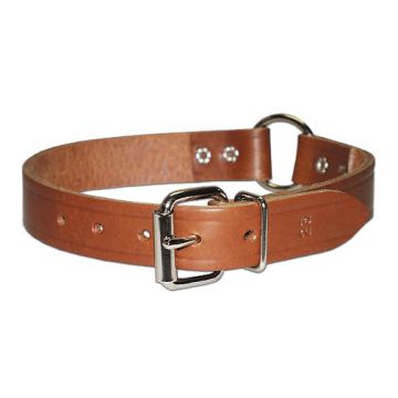 Leather Bully O-Ring Collar