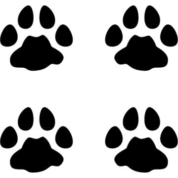 Bobcat Tracks Decal