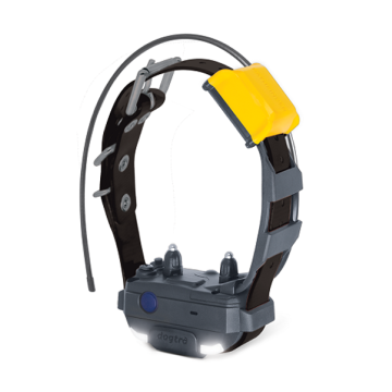 Pathfinder 2 Mini Extra Collar