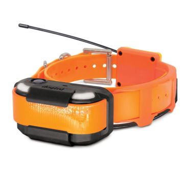 Pathfinder 2 Tracking ONLY collar