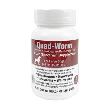 Quad Worm for Large Dogs (46-120lbs) 6ct