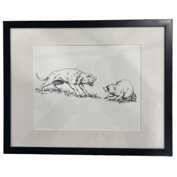 Raccoon Bayed - Tom Mansanarez DU Canvas Print