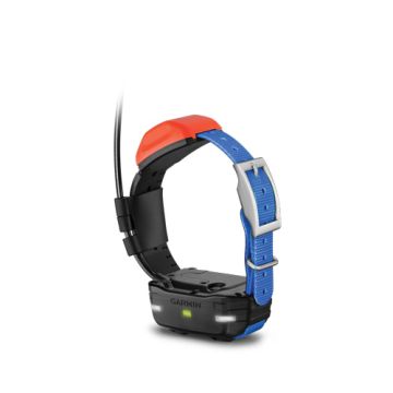 T5 Mini Collar with Lights