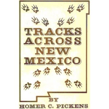 Tracks Across New Mexico