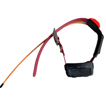 Used Garmin T5X Collar