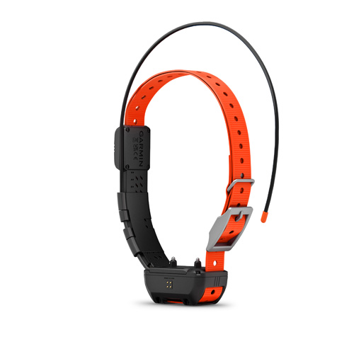Garmin TT25 collar