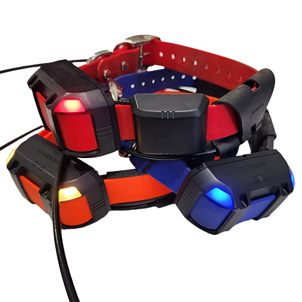 Garmin TT25 Beacon Lights